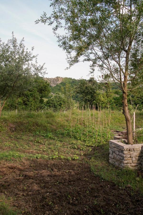 Ferma Albanik Ξενοδοχείο Kelcyre Εξωτερικό φωτογραφία
